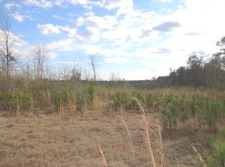 46 Floyd Strickland Rd, Ellisville, MS 39437