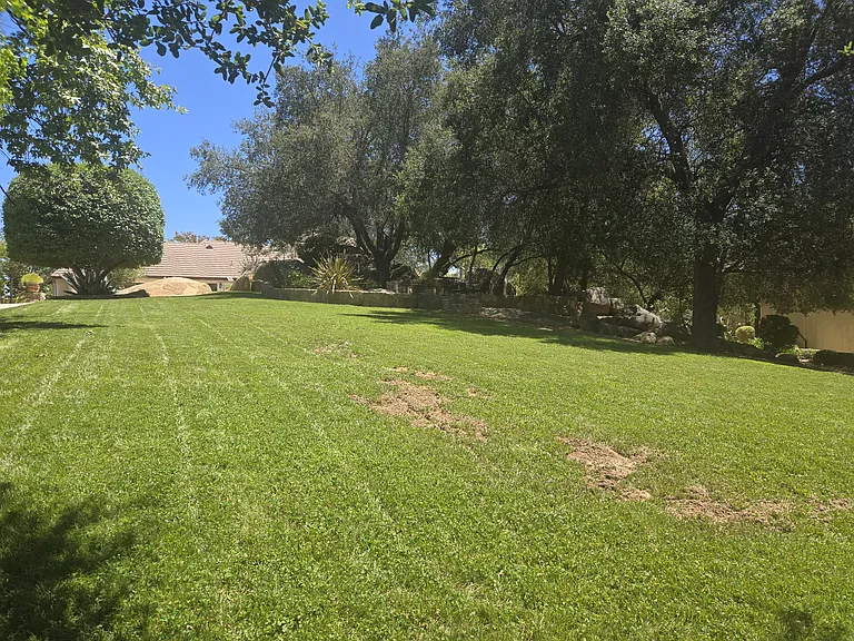 41565 Avenida Conchita — Photo 43