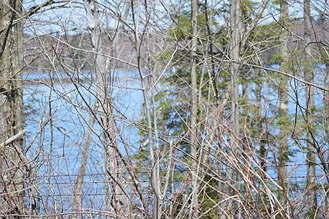 Looking out front porch