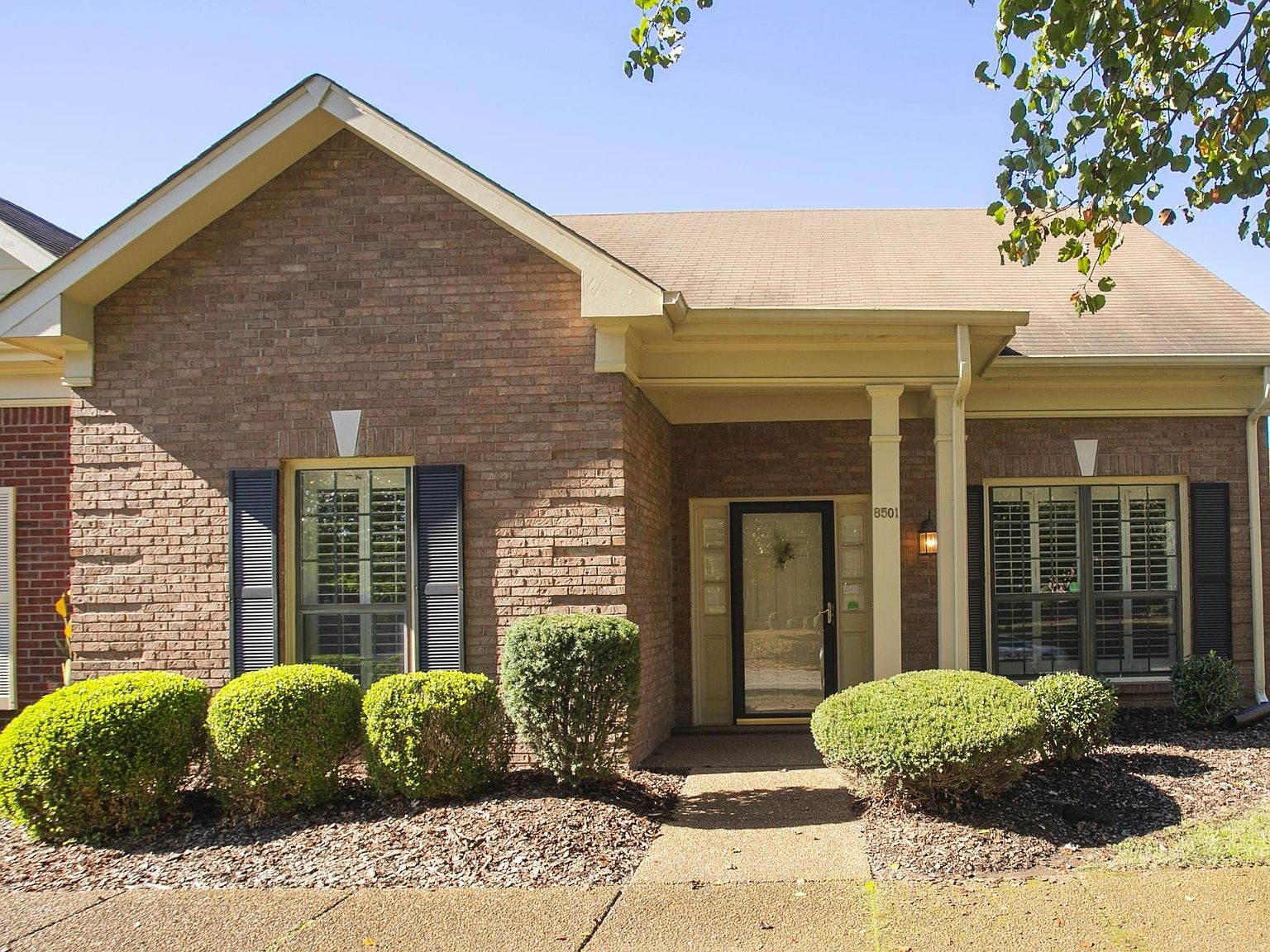 トップス house on the hill L/S Tee Brown Horse 80 L/S Tee (Brown Horse) | House on the Hill