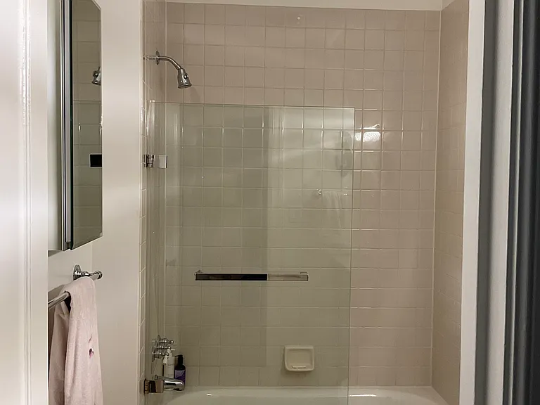Downstairs Bath