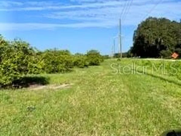 Steve Roberts Special Lot B, Zolfo Springs, FL 33890