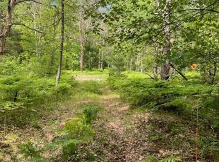 Vl 18 Mile Rd, Bitely, MI 49309