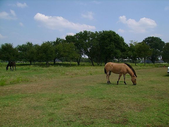 3rd image of 128 Fm 153
