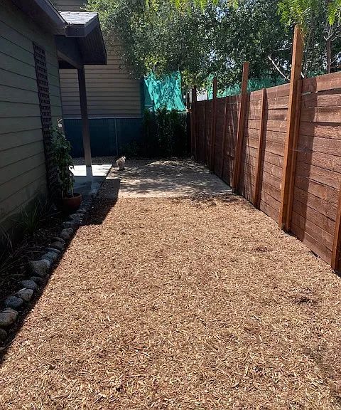 view of the front yard area