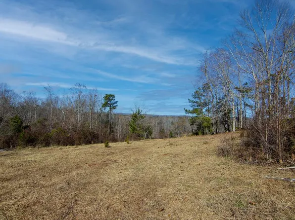 TRACT Six 0 Chestnut Grove Rd, Shiloh, GA 31826