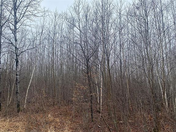 5th image of ON Shauger Road