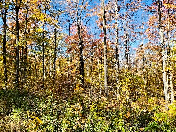 4th image of 0 Breakneck Road