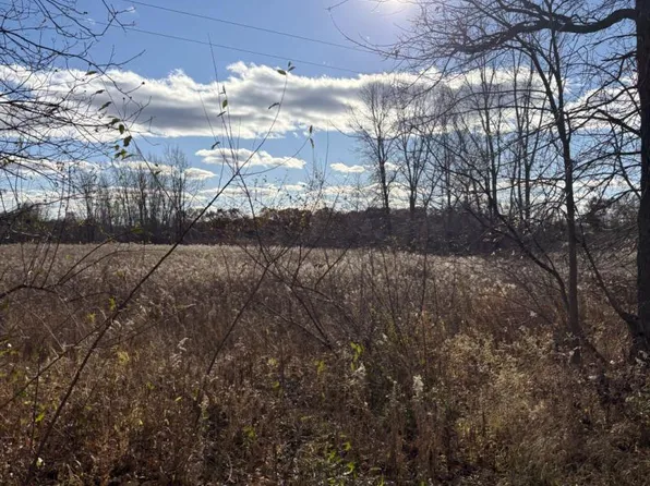 Lothrop Rd, Imlay City, MI 48444