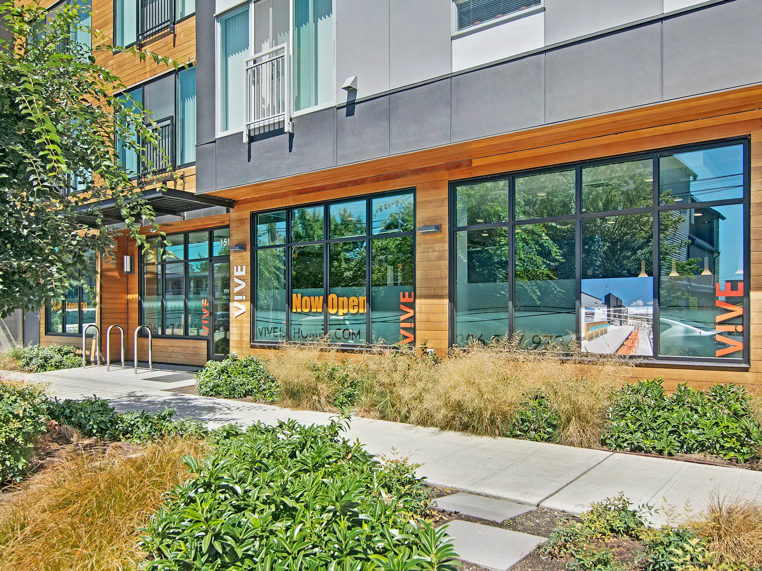 Vive Ballard — Photo 2