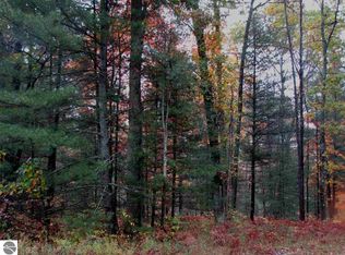 0 Ridge Rd, Beulah, MI 49617