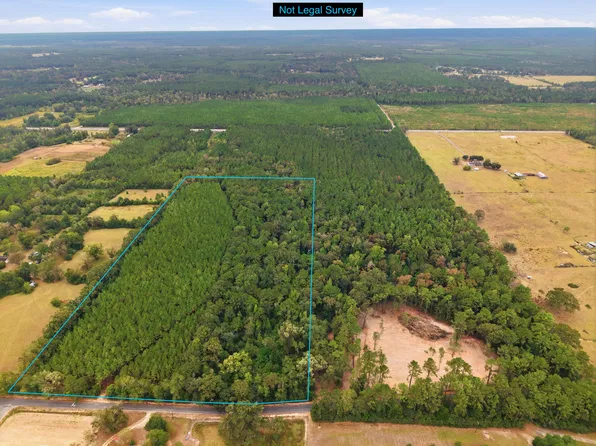 Hamp Jones Rd, Merryville, LA 70653