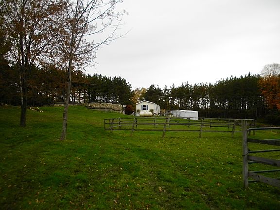 Pasture view looking at the back of house