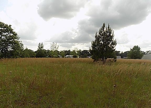 3rd image of 0 Hanging Moss Trl