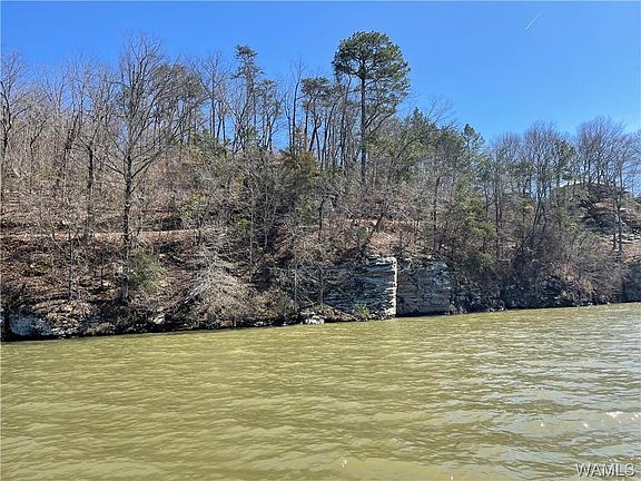 3rd image of 13295 Woodrose Dr