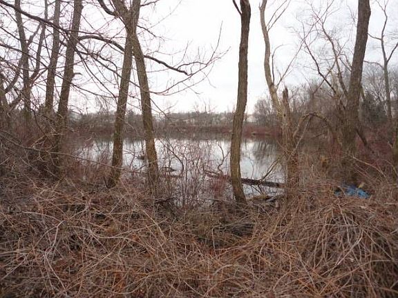 Pond on Right