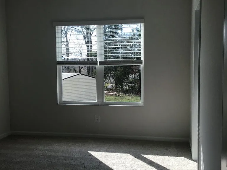 1029 Beatty Woods Dr — Photo 21