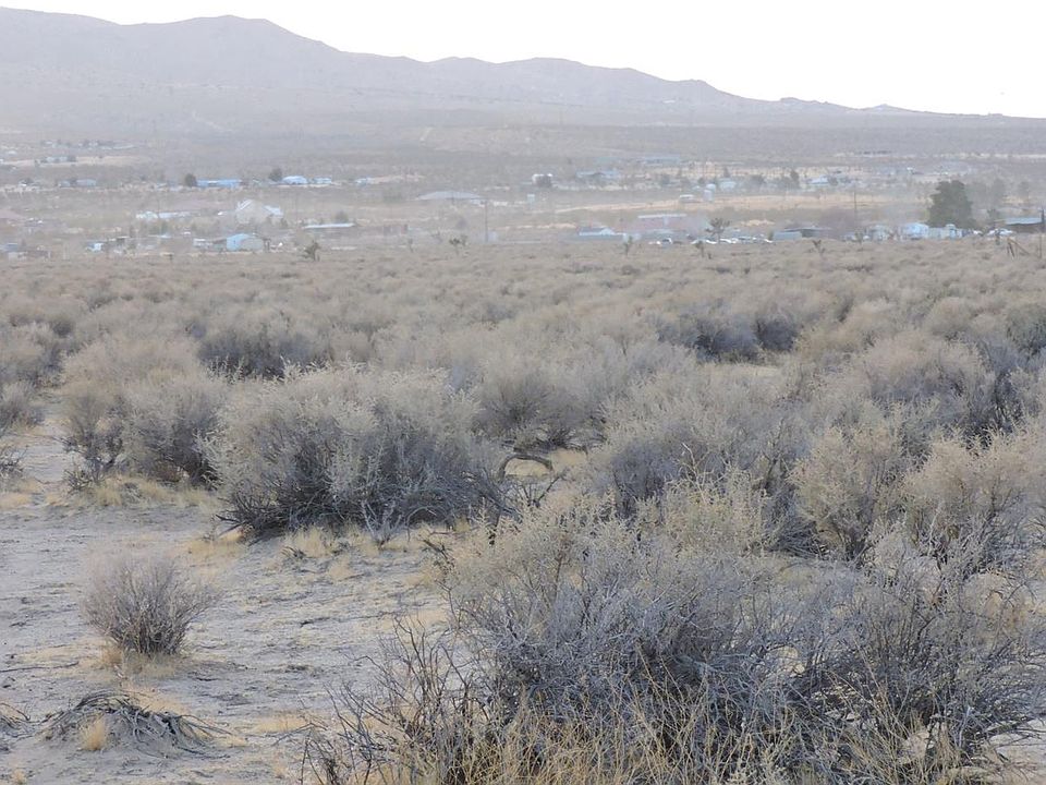 1st image of Alamo Ave