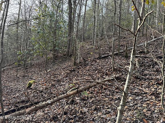 5th image of 0 Black Gum Gap Rd Lot 10