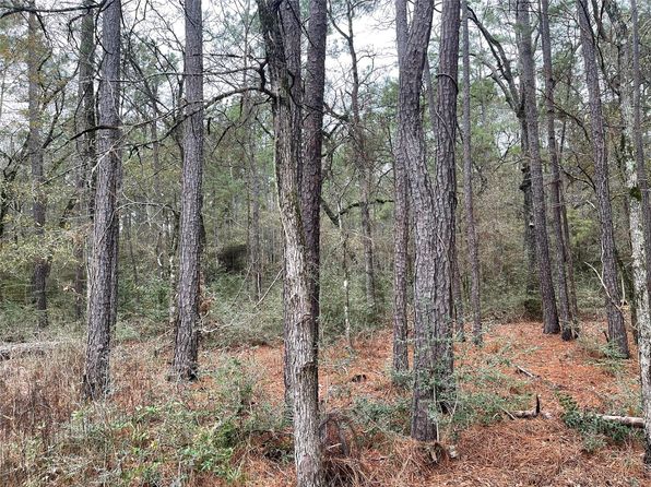 LOT 19 Hackberry Dr, Plantersville, TX 77363