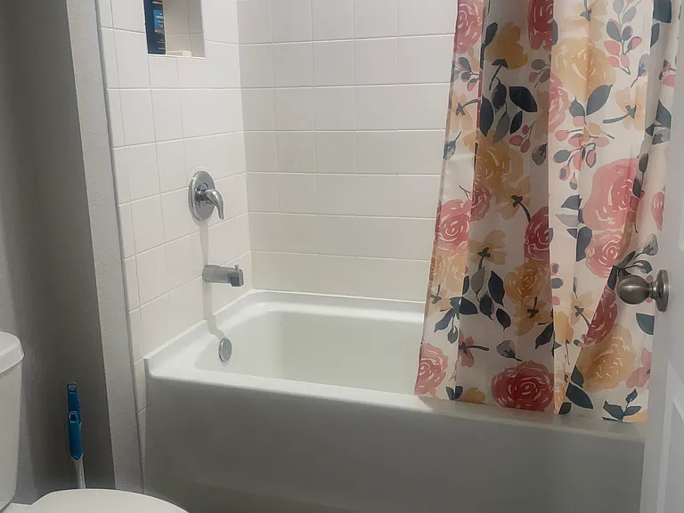Toilet & Bathtub