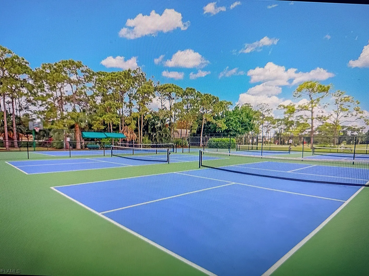 1 bed, 684 sqft, $1,800 — Photo 4