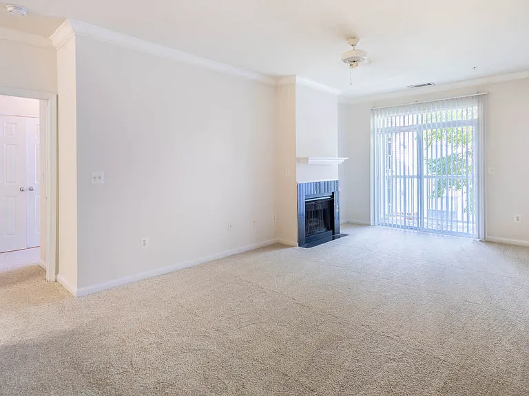 Carpeted Living Room with Fireplace and Balcony