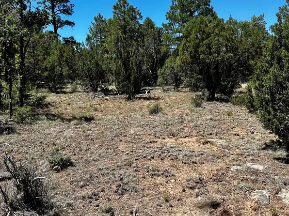 5617 Twin Oaks Loop #66, Happy Jack, AZ 86024