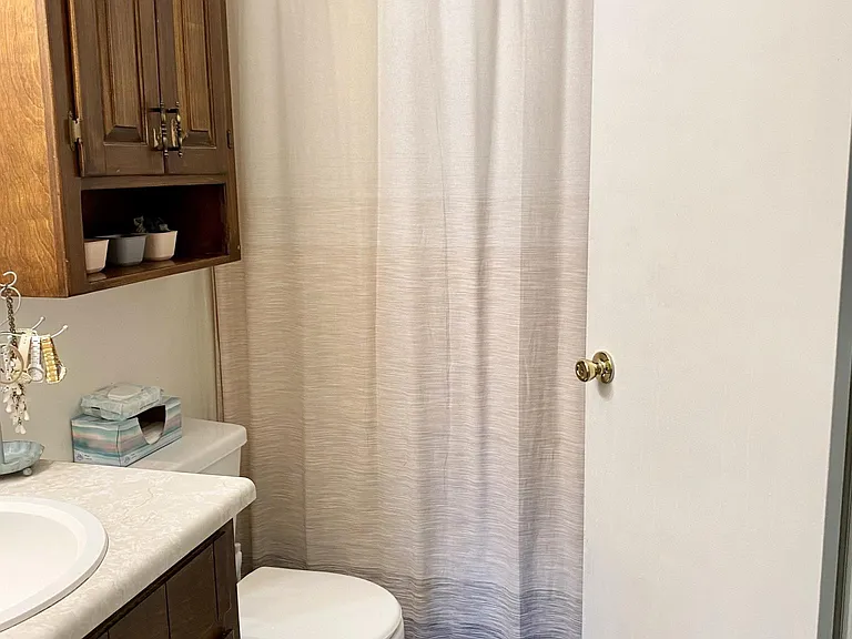 Master/downstairs bathroom