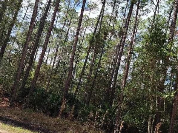 East Pkwy, Deland, FL 32724