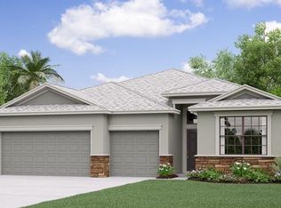 13421 White Sapphire Rd, Riverview, FL 33579