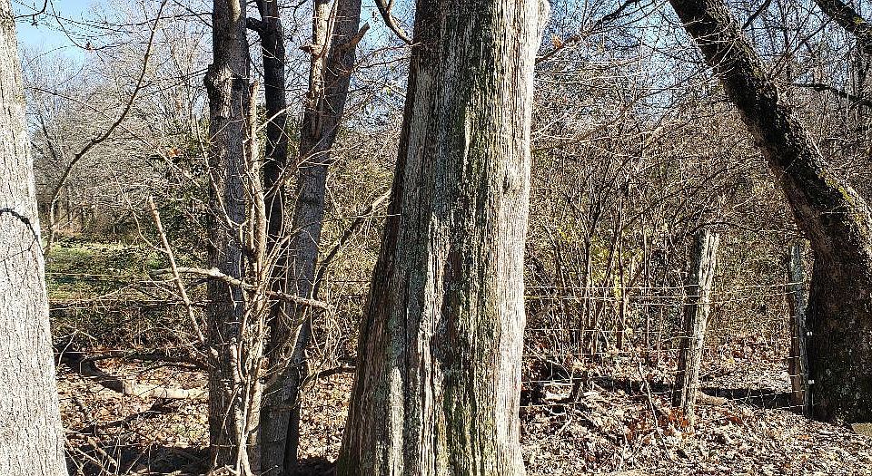2nd image of W Ford Valley Rd