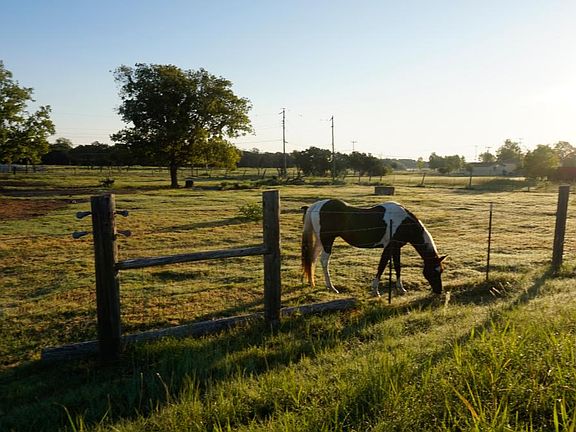 Your neighbor across the street