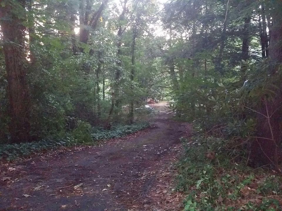 2nd image of 5 Pine Tree Rd