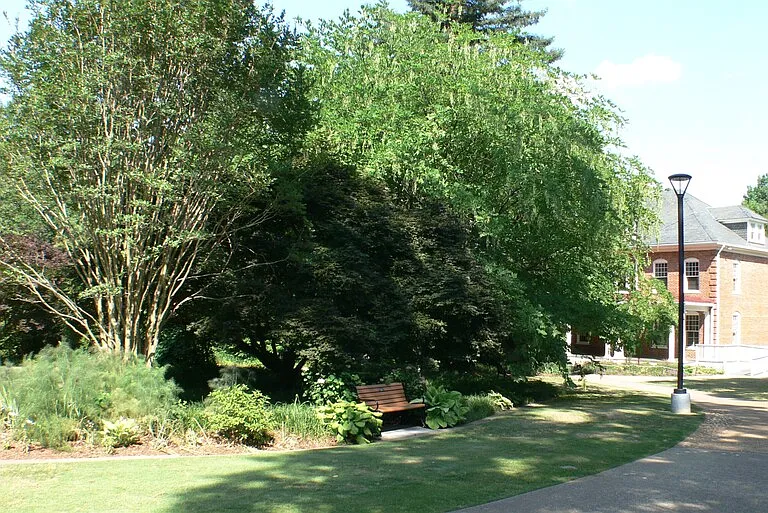 815 Clay St #C — Photo 14