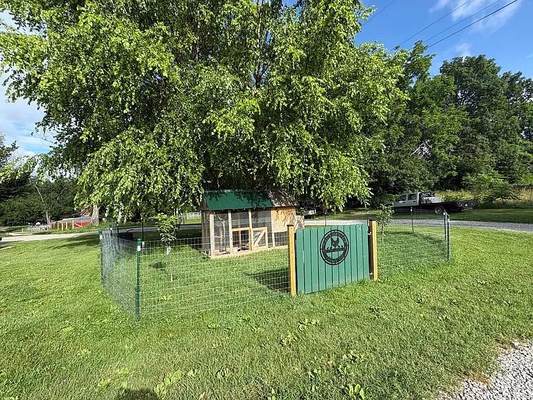 363 Jernigan Rd — Photo 30
