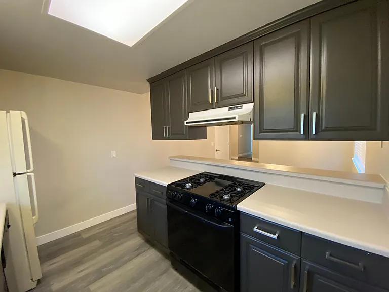 Gas stove/oven and electrical hood.
