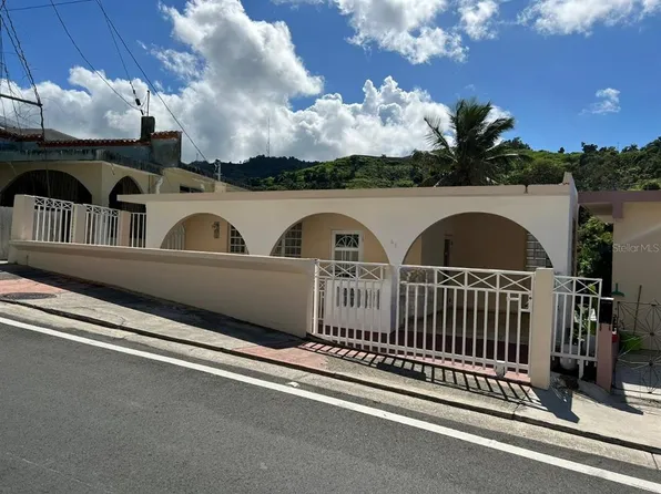 State Route 156 .3 #Km-41, Orocovis, PR 00720