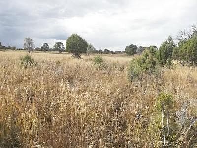 1st image of County Road Y43 Lot 2