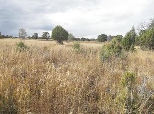 County Road Y43 LOT 2, Norwood, CO 81423