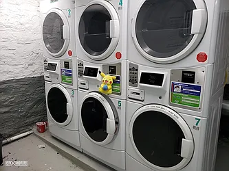 Rented by Citi Habitats