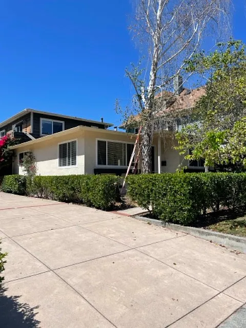 Driveway w Parking - 1117 Laurel St #B
