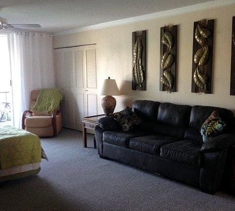 3rd image of 7425 Bay Island Dr S #Studio