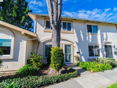 38562 Royal Ann Cmn, Fremont, CA, 94536