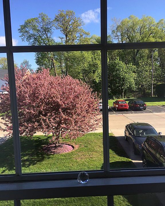 1st image of 118 Chatham Way #I