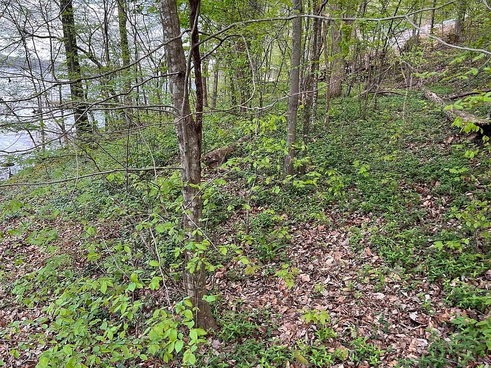 1st image of 8339 Blue Springs Dr