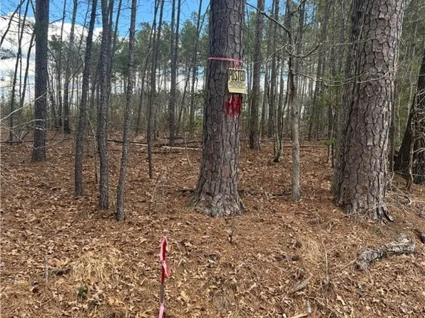 0 Hobbs Mill Rd, Dinwiddie, VA 23894