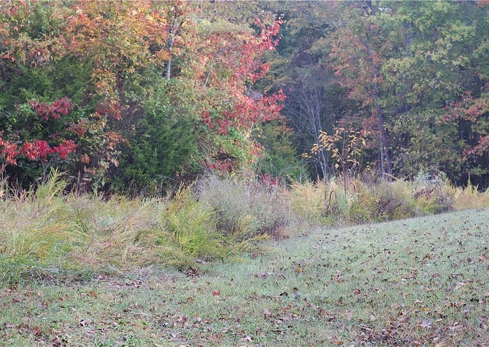 2nd image of Jason Ln