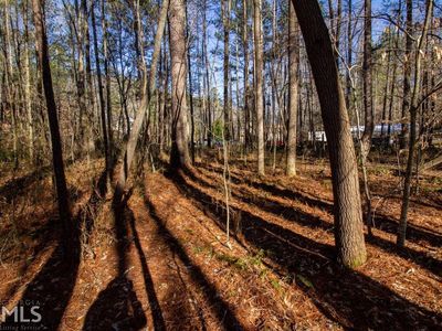 0 Kelly Bridge Ct, Dawsonville, GA, 30534
