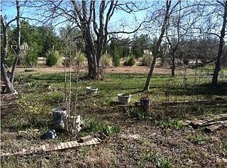 2nd image of 928 Mockingbird Ln
